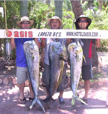 Loreto, Mexico fishing photo 1