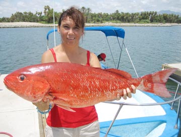 San Jose del Cabo, Mexico fishing photo 1