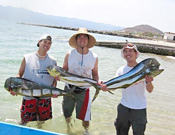 Bahia de los Angeles, Mexico fishing photo 2