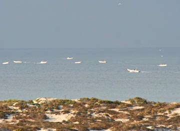 La Bocana, Mexico fishing photo 1