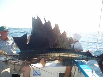 Cabo San Lucas, Mexico fishing photo 1