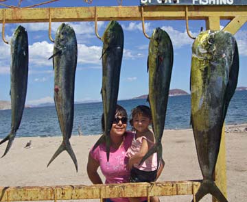 Bahia de los Angeles, Mexico fishing photo 1