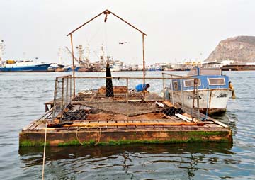 Ensenada, Mexico live bait receiver photo 1