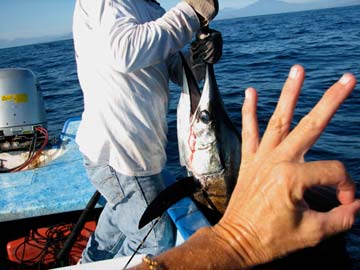 Loreto, Mexico fishing tournament photo 1