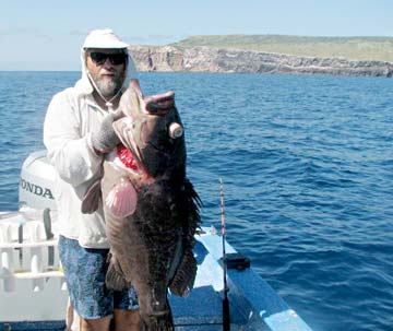 Santa Rosalia, Mexico fishing photo 1