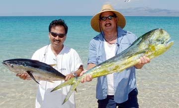 La Paz, Mexico fishing photo 2