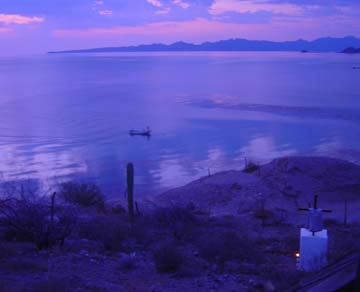 Mulege, Mexico fishing photo 1