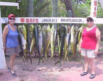 Loreto, Mexico fishing photo 1