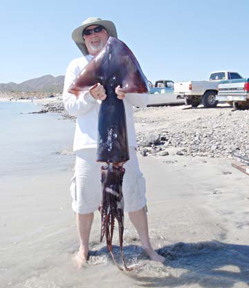 La Paz, Mexico fishing photo 3