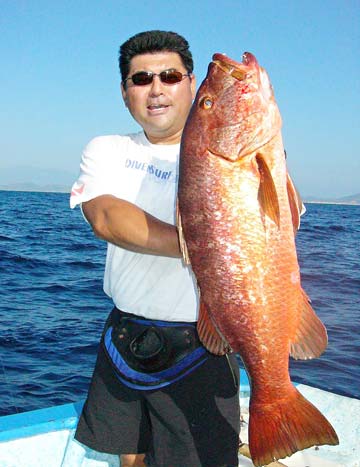 San Jose del Cabo, Mexico fishing photo 1