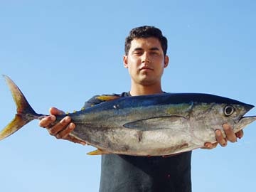 San Quintin, Mexico fishing photo 1