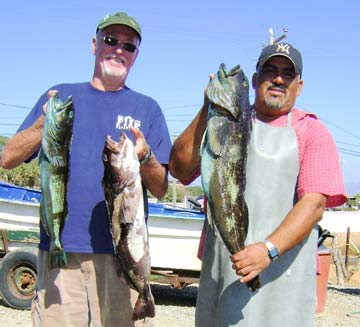 Ensenada, Mexico fishing photo 1