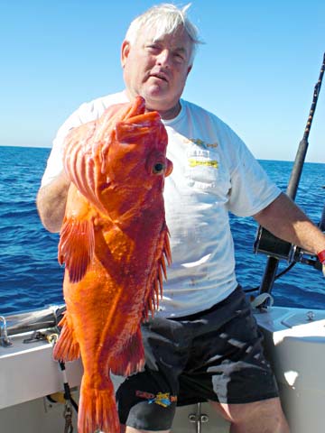 Ensenada, Mexico fishing photo 2