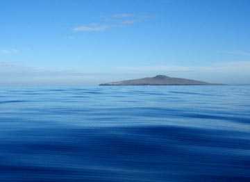 San Quintin, Mexico fishing photo 2