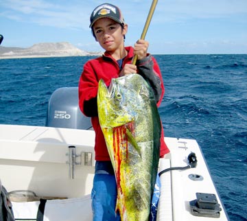 San Jose del Cabo dorado