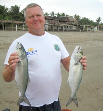 Anchoa caught at Tecolutla