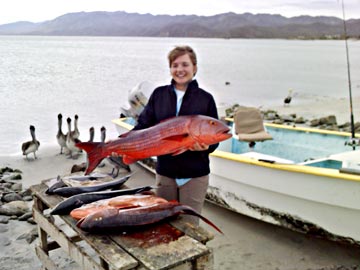 Mullet snapper at La Paz