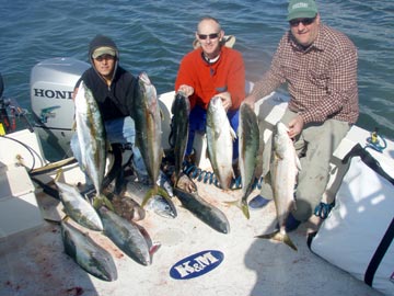 San Quintin yellowtail fishing 1