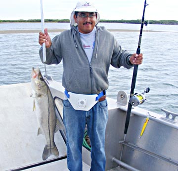 Magdalena Bay snook.