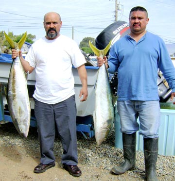 Winter yellowtail fishing at Ensenada.