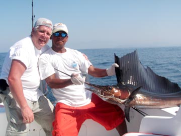 Itapa sailfish release