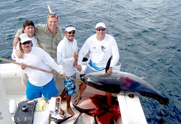 Large tuna caught at Puerto Vallarta, Mexico.