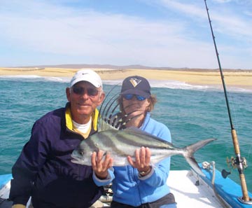 Roosterfish caught at Cabo San Lucas.