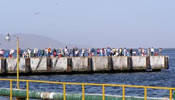 Fishing tournament at San Carlos 3.