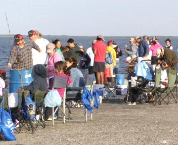 Fishing tournament at San Carlos 4.