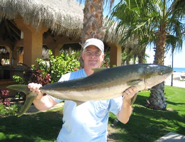 Yellowtail caught at San Jose del Cabo.