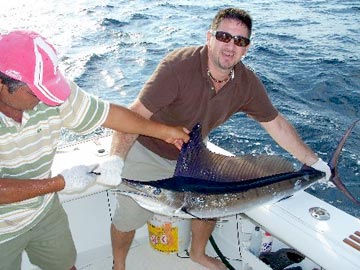 Unidentified billfish species caught at Ixtapa Zihuatanejo.