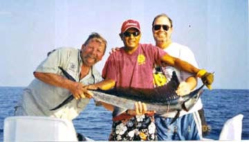 Unidentified billfish at Ixtapa Zihuatanejo.