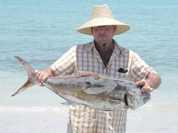 Amberjack caught at La Paz.