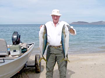 Yellowtail caught at Islas Encantadas