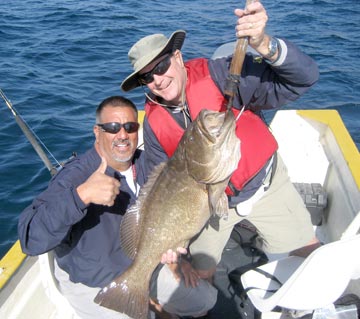 Leopard grouper caught at La Paz