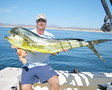 Light tackle dorado at San Jose del Cabo