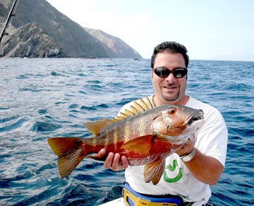 Barred pargo caught at Isla Cerravlo