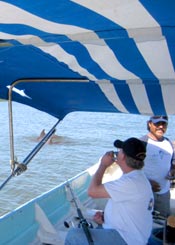 Mangrove fishing at Mazatlan 2