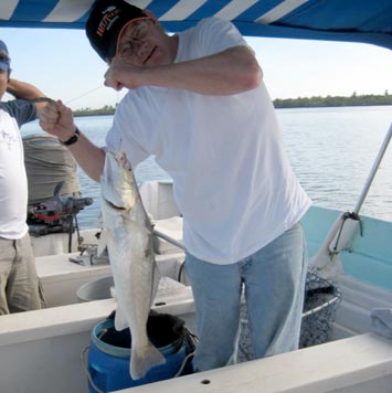 Mangrove fishing at Mazatlan 3