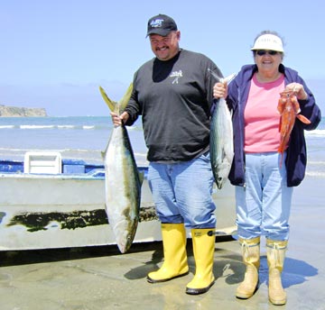 Yellowtail and bonito caught at Ensenada