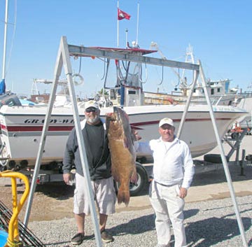 Gulf grouper caught 25 miles out of Rocky Point, Sonora