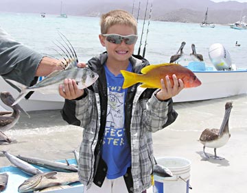 Roosterfish and unidentified snapper at La Paz