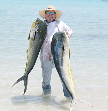 Large dorado caught at La Paz