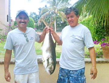 Jack crevalle caught at San Jose del Cabo