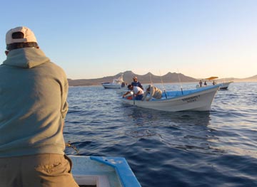 Pangas figging for squid at San Jose del Cabo