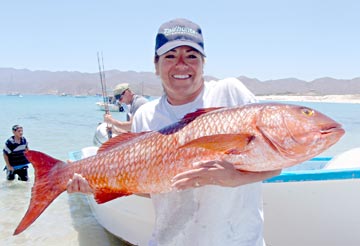 Pargo lisa caught at La Paz