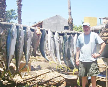 Yellowtail catch at Loreto, Baja California Sur, Mexico 1