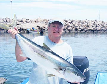 Yellowtail catch at Loreto, Baja California Sur, Mexico 2