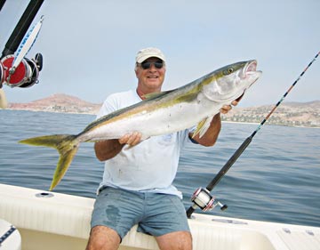 Yellowtail caught at San Jose del Cabo