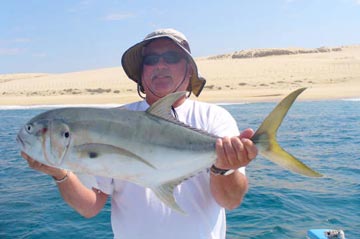 Jack crevalle caught at Cabo San Lucas